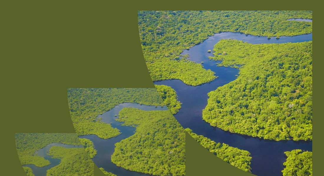 Winding river surrounded by dense green rainforest